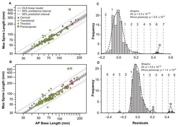 Allometry of osteoderms.