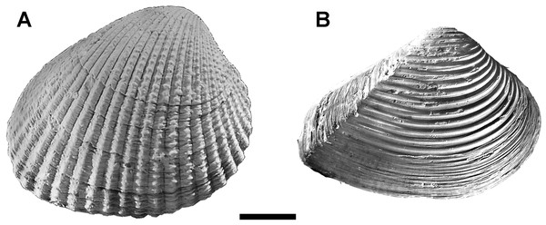 Case-studies of this work.