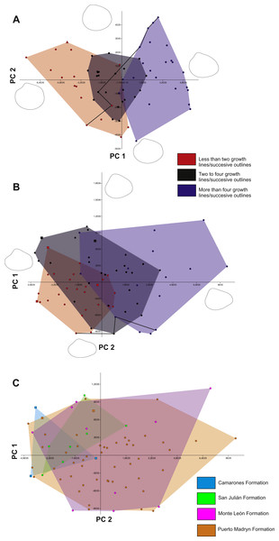 Results of principal component analyses.