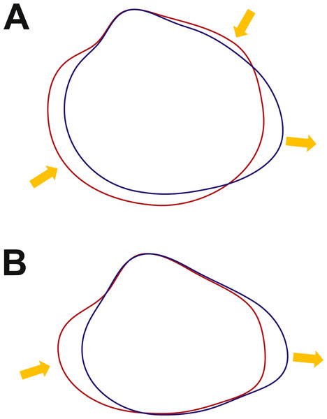 Overlapping of extreme outline configurations.