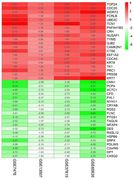 Log FC heatmap of each expression microarray.