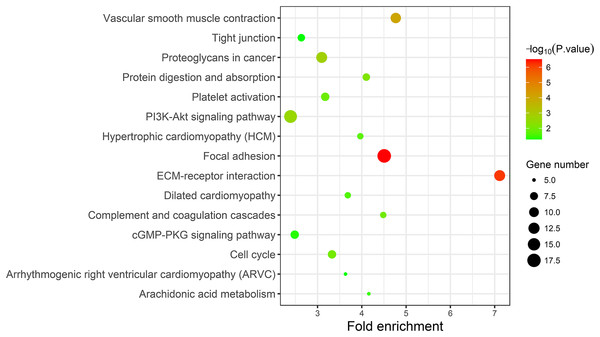 KEGG pathway enrichment analysis of the integrated DEGs.