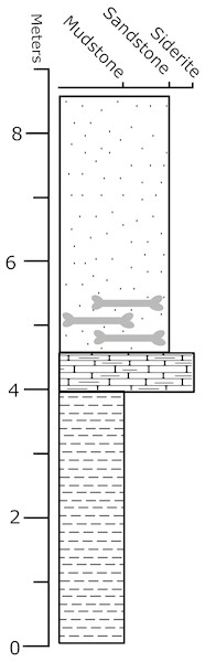 Stratigraphic column of the “Constantine” Quarry.