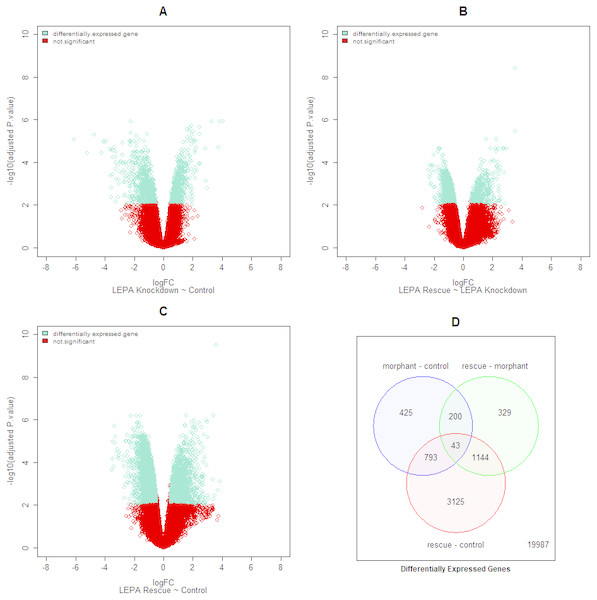 Differentially expressed genes for all datasets.