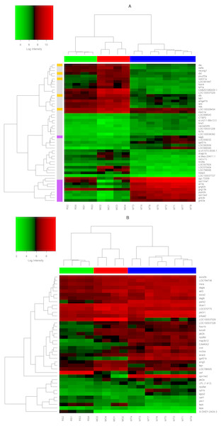 Top-Ranked DEGs (A) and Leptin Signaling DEGs.