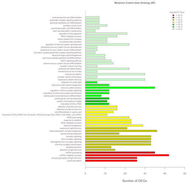 GO Analyses knockdown Vs. Control.