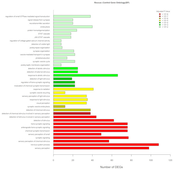 GO Analyses Rescue Vs. Control.