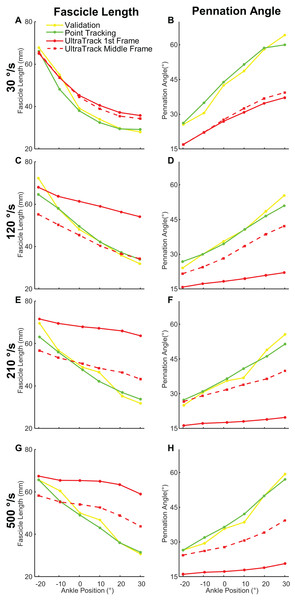 Comparison of manual, point tracking, and Ultratrack measurements of fascicle length and pennation angle.