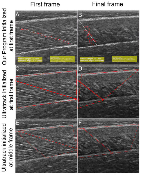 Visualization of tracking between our program and Ultratrack initialized from the first frame and middle frame.