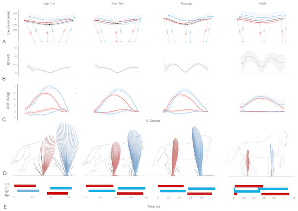 Data illustrating the mechanics of each gait taken from the RFLH diagonal (mean ± standard deviation) (A–C), one RFLH step (D) and continuous RFLH-LFRH strides (E).