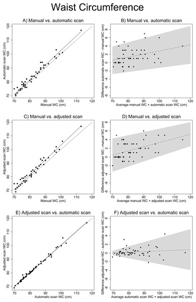 Associations between different waist circumference measures.