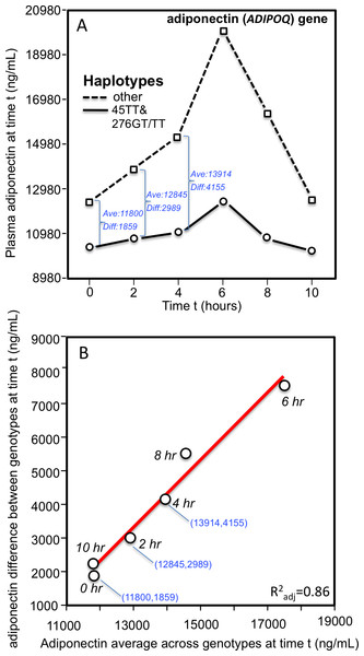 Adiponectin response to an oral fat tolerance test by 45TT (rs2241766) and 276GT/TT (rs1501299) ADIPOQ haplotypes.