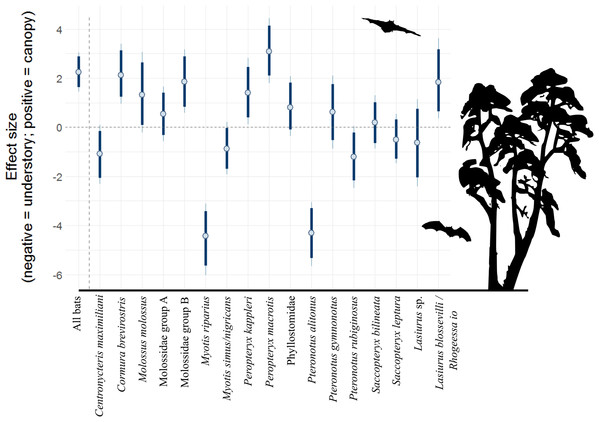 Model coefficient estimates for activity in vertical strata, by bat species/complex.