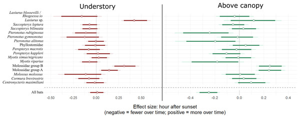 Model coefficient estimates for activity over the course of the night by bat species.