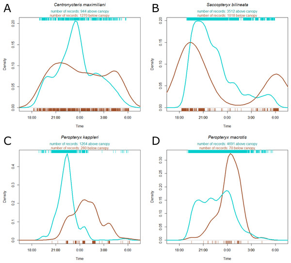 Kernel density estimate of activity of four most common species recorded at the Nouragues Research Station in French Guiana, plotted by time.