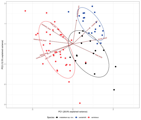 Biplot of the first two principal components from a PCA of 12 meristic characters and 9 morphometric characters of 72 specimens of three Combtooth Blenny species.