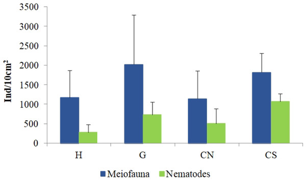 Total meiofaunal and nematode abundances.