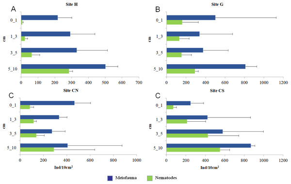 Vertical distribution of total meiofaunal and nematode abundances.