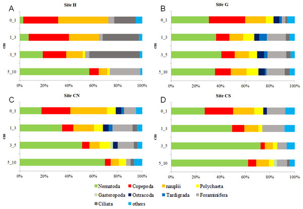 Vertical meiofauna taxonomic composition four sampling sites (A–D).