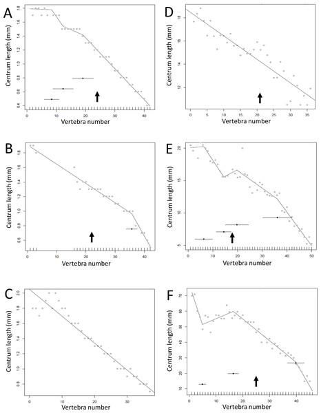 Regressions for centrum lengths within the tails for members of the Ceratopsia. (A) Psittacosaurus AMNH 6253, (B) Psittacosaurus AMNH 6254, (C) Psittacosaurus GiSPS 100/606, (D) Leptoceratops CMN 8887, (E) Leptoceratops CMN 8888, (F) Centrosaurus.