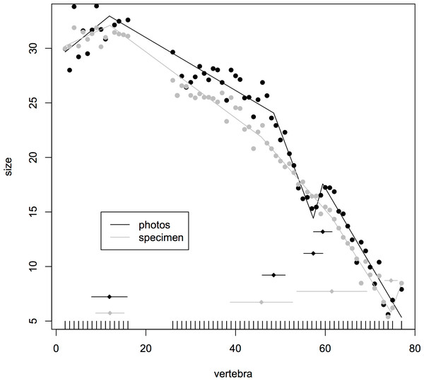 Segmented regressions for the indeterminate hadrosaur specimen TMP1998.058.001.