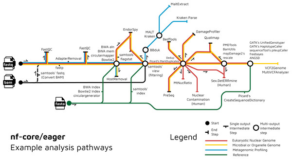 Example routes of analyses offered by nf-core/eager.