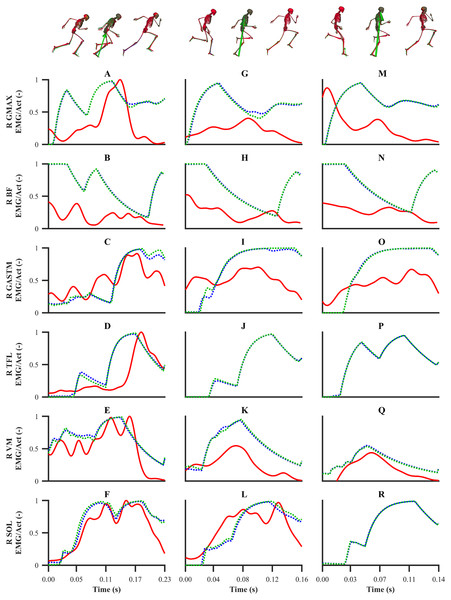 EMGs and simulated activations from the right lower-limb for the first early acceleration (A–F), mid-acceleration (G–L) and maximum velocity (M–R) phase trials.