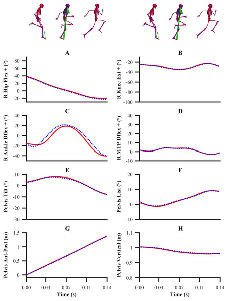 Subset of right lower-limb joint angles (A–D), and global pelvis angles and translations (E–H) for the second maximum velocity phase trial.