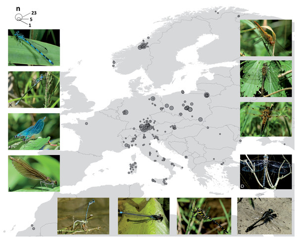 Map of the 274 sampling locations for the 663 specimens with GPS coordinates deposited in BOLD and pictures for a representative for each family.