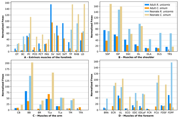 Normalized Fmax of the muscles of the forelimb of our four rhinoceroses.