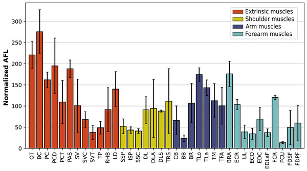 Normalized average fascicle length (%) of the muscles of the forelimb, averaged from the four specimens for each muscle.