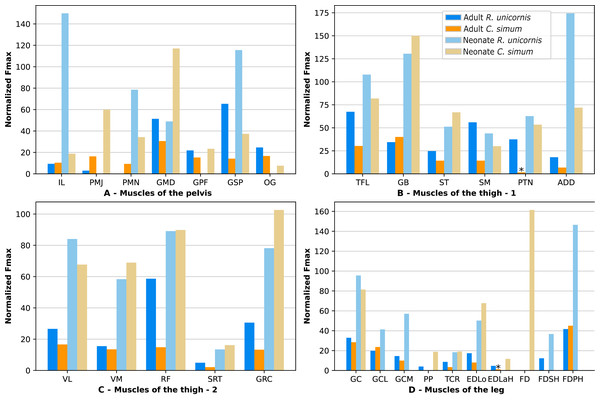 Normalized Fmax of the muscles of the hindlimb of our four rhinoceroses.