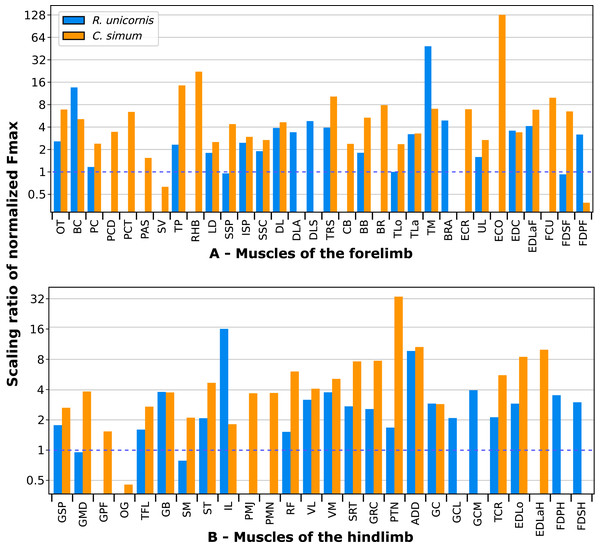 Ratios of normalized Fmax of the neonate divided by the normalized Fmax of the adult, for both species.