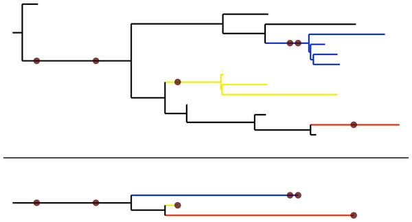 A simulated extinct clade with sampled fossils represented by brown dots.