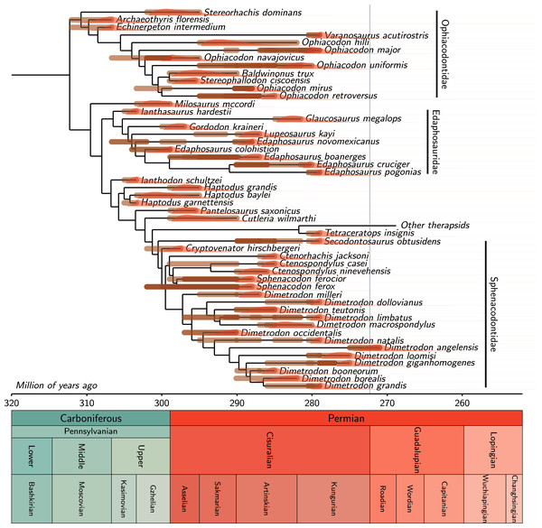 One of the 100 equally parsimonious trees of our dataset and the extinction time probability density distributions of its extinct taxa.