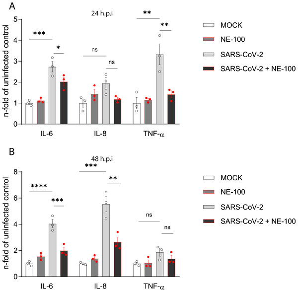 NE-100 decreases cytokine release that follows SARS-CoV-2 infection in hiPSC-CMs.