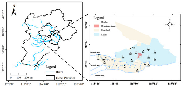 Sampling site location.