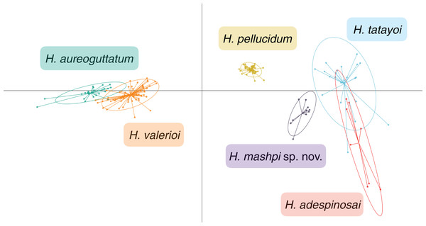 Discriminant analysis of principal components (DAPC) of glassfrog species’ calls.