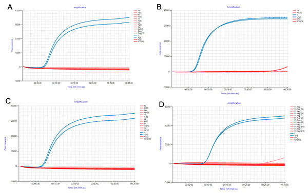 Specificity panel used to determine FhLAMP specificity using common livestock helminths and snail species.