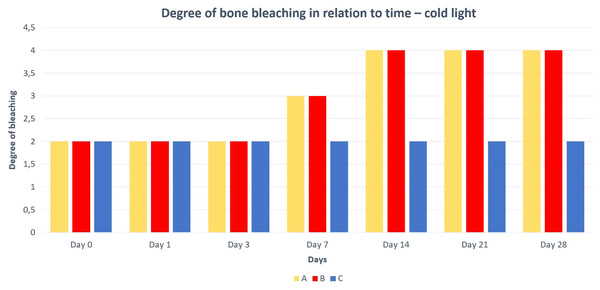 Degree of bone bleaching in relation to time—cold light.