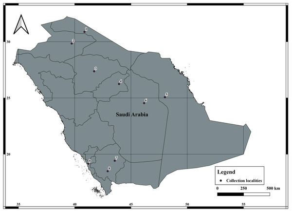 Collection of localities data of Androctonus crassicauda from Saudi Arabia.