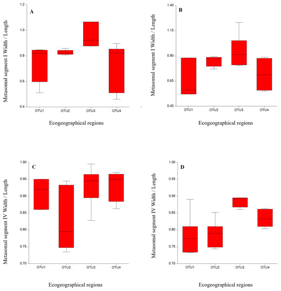 Variation by mean of box plots of the morphometric ratio between Androctonus crassicauda populations: Metasoma I W/L (A, B); metasoma IV W/L (C, D) for each male and female, respectively.