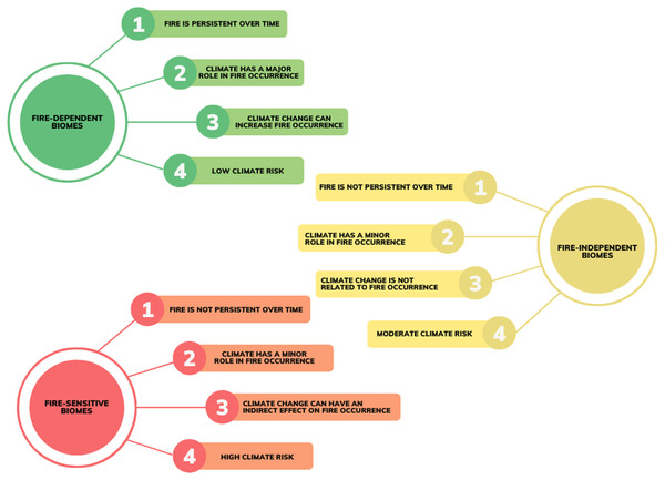 Hypothetic patterns of fire persistence, fire occurrence, and climate risk in Brazilian fire-dependent (Cerrado, Pampa, and Pantanal), fire-independent (Caatinga) and fire-sensitive (Amazon and Atlantic Forest) biomes.