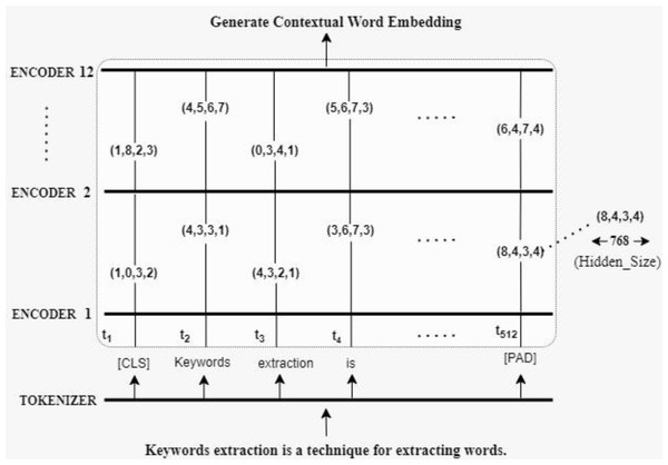 Contextual word embedding by BERT.