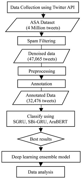 The study architecture with DL model and data analysis.