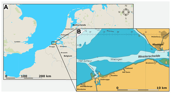 Location of the fossil site.