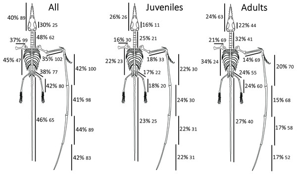 Summary of relative rates of variation by region or element.