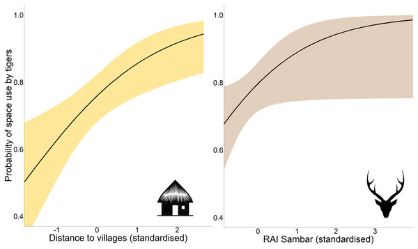 Marginal effect response curves of predictors influencing tigers’ space use probability.