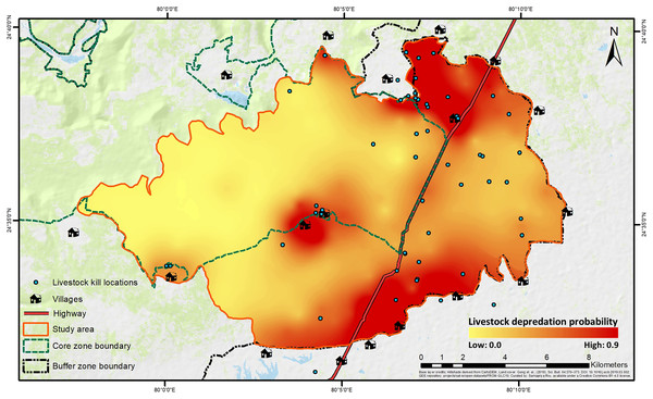 Spatial representation of livestock depredation risk by tigers.