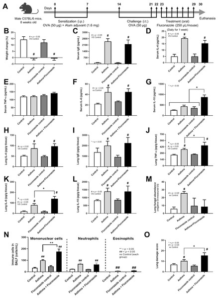 Schema of the establishment of allergic asthma model (see Materials and Methods) (A) and characteristics of control, asthma, fluconazole in normal mice, and fluconazole in asthma as indicated by body weight change (B), serum Ig E (C), and serum IL-4 (D), serum inflammatory cytokines (TNF-α, IL-6, and IL-10) (E–G), lung homogenates (IL-4, Ig E, TNF-α, IL-6, IL-10, and fungal abundance) (H–M), immune cells in bronchoalveolar lavage fluid (BALF) (N), and lung damage score (O) are demonstrated, (n = 6/group).